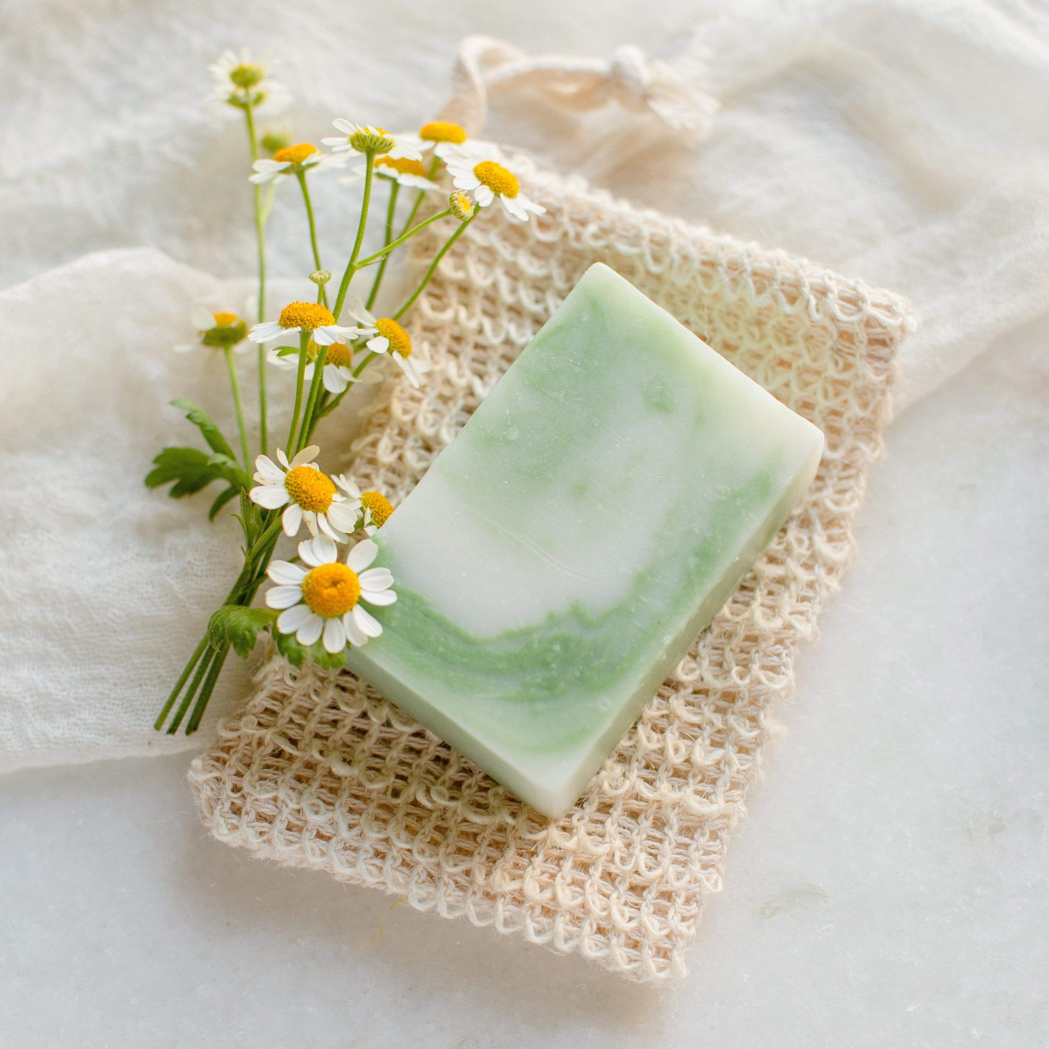 Aloe Calm
